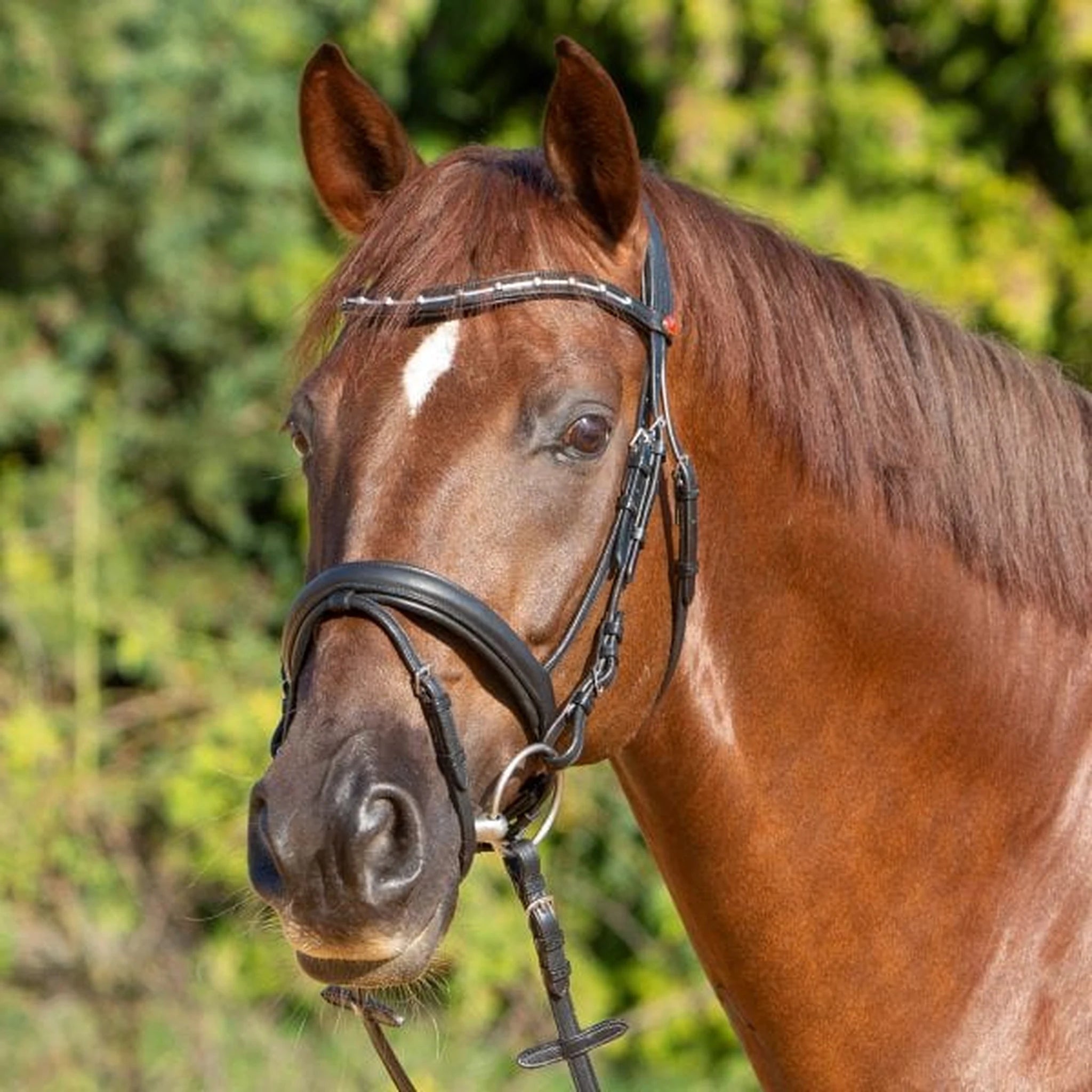 Kieffer Ultrasoft Economy II Snaffle Bridle product photo