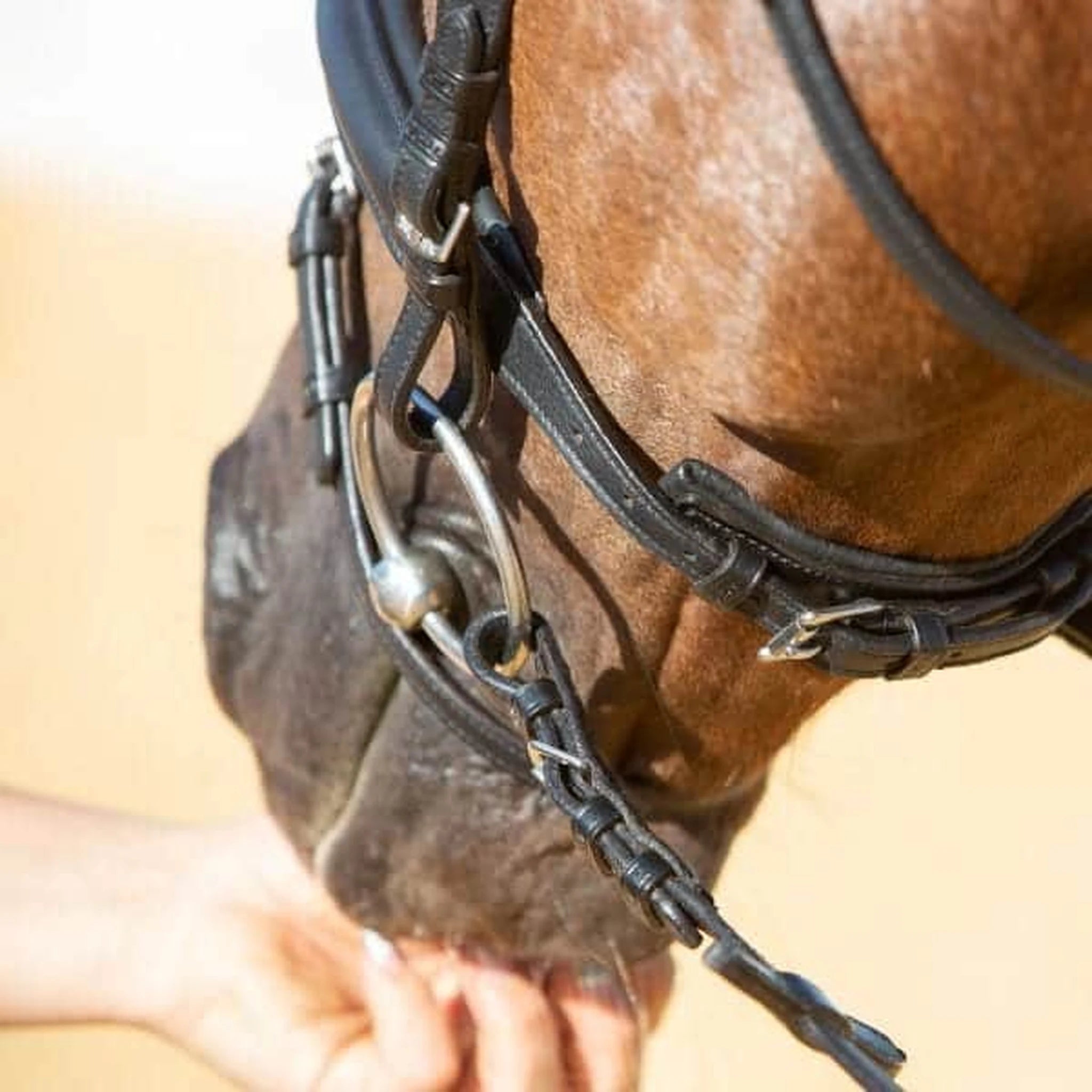 Kieffer Ultrasoft Economy II Snaffle Bridle product photo