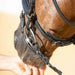 Kieffer Ultrasoft Economy II Snaffle Bridle product photo