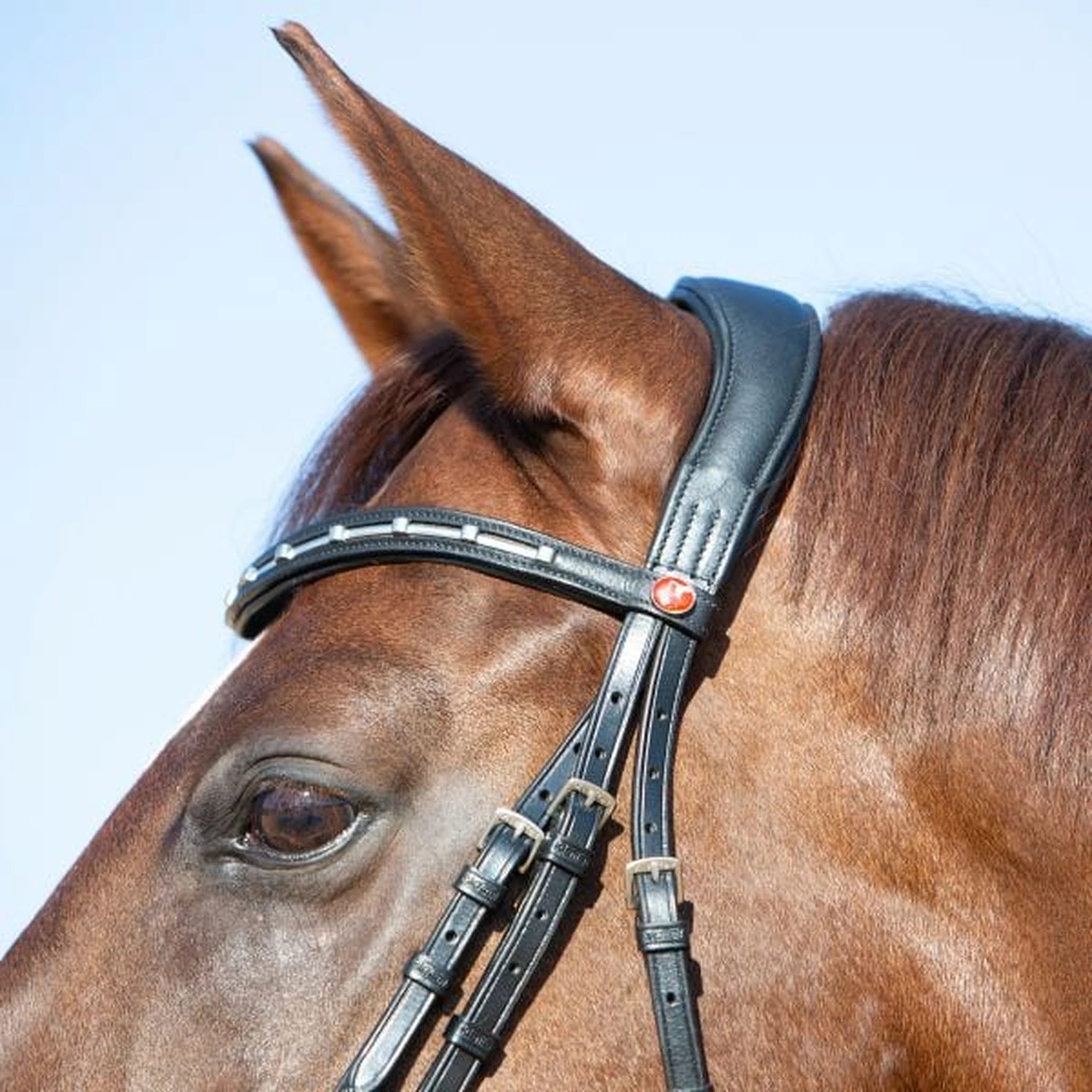 Kieffer Ultrasoft Economy II Snaffle Bridle product photo