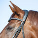 Kieffer Ultrasoft Economy II Snaffle Bridle product photo