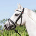 Kieffer Ultrasoft Economy Snaffle Bridle product photo
