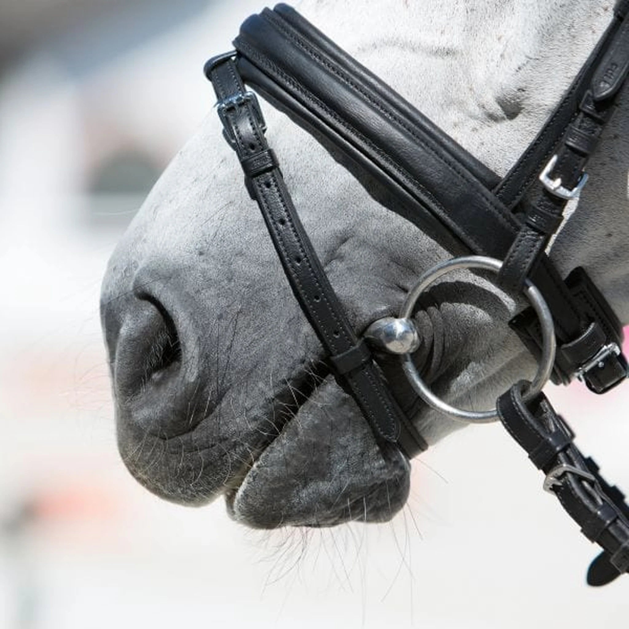 Kieffer Ultrasoft Economy Snaffle Bridle product photo