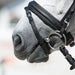 Kieffer Ultrasoft Economy Snaffle Bridle product photo