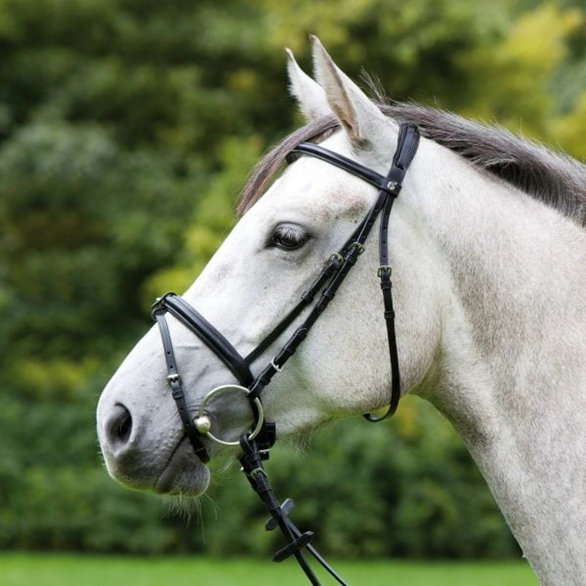 Kieffer Anja Beran Snaffle Bridle product photo