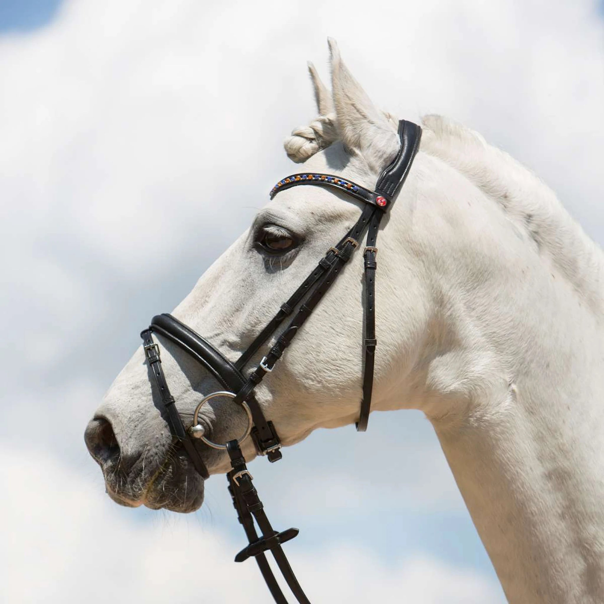 Kieffer Ultrasoft Fashion snaffle bridle worn by a grey horse.