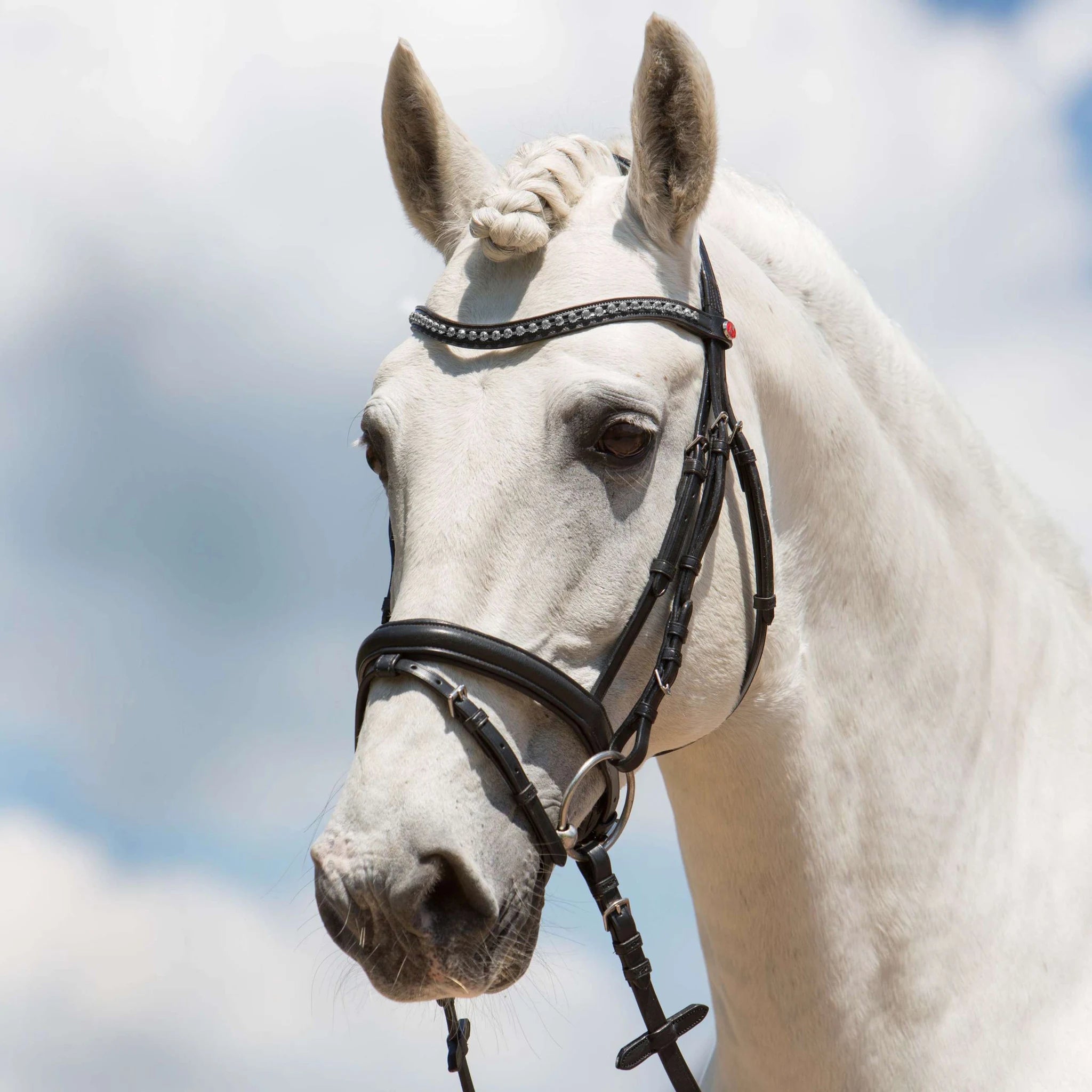 Kieffer Ultrasoft Fashion snaffle bridle on a grey horse, head in profile.