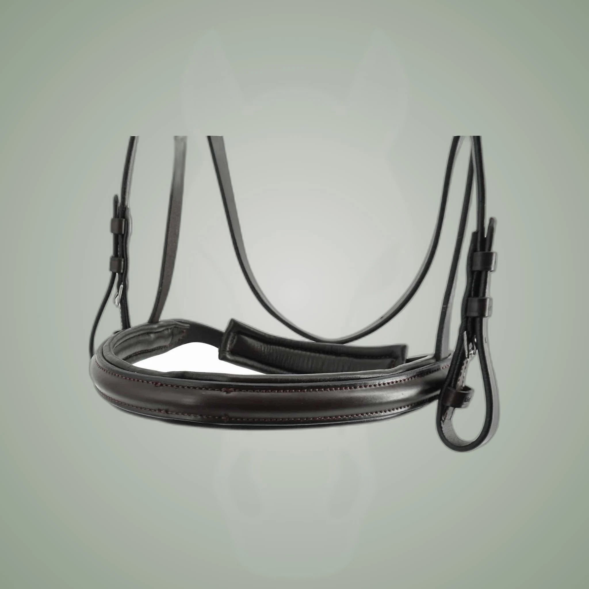Kieffer Anja Beran Snaffle Bridle on One-Eyed Equine branded background