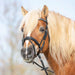 Kieffer Ultrasoft Haflinger bridle on a Haflinger, close view of the noseband.