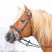 Kieffer Ultrasoft Haflinger bridle on a Haflinger seen from the front.
