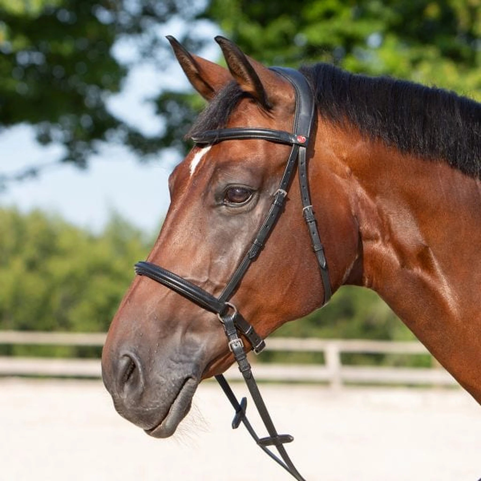 Kieffer Ultrasoft Kendra Bitless Bridle product photo