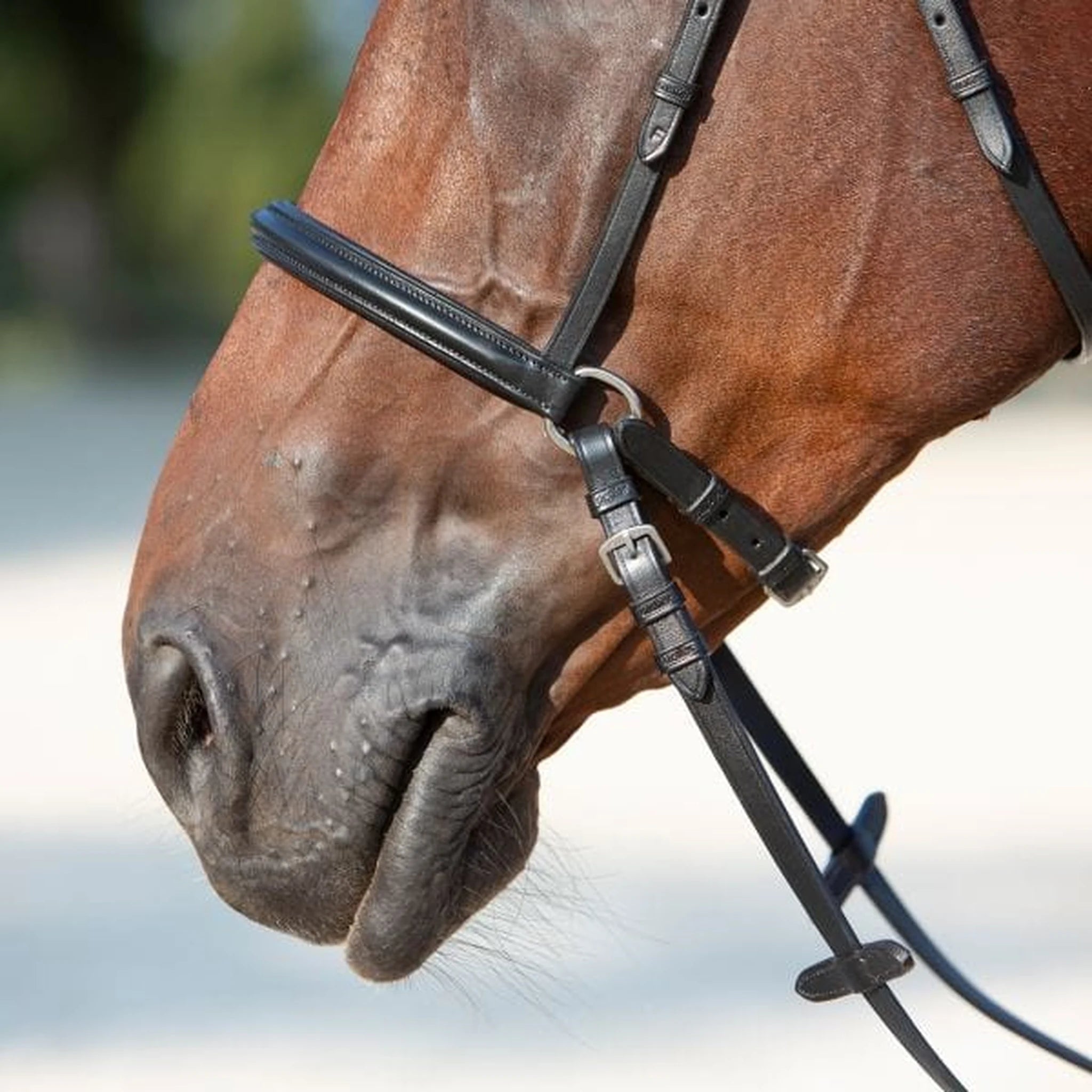 Kieffer Ultrasoft Kendra Bitless Bridle product photo