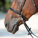 Kieffer Ultrasoft Kendra Bitless Bridle product photo