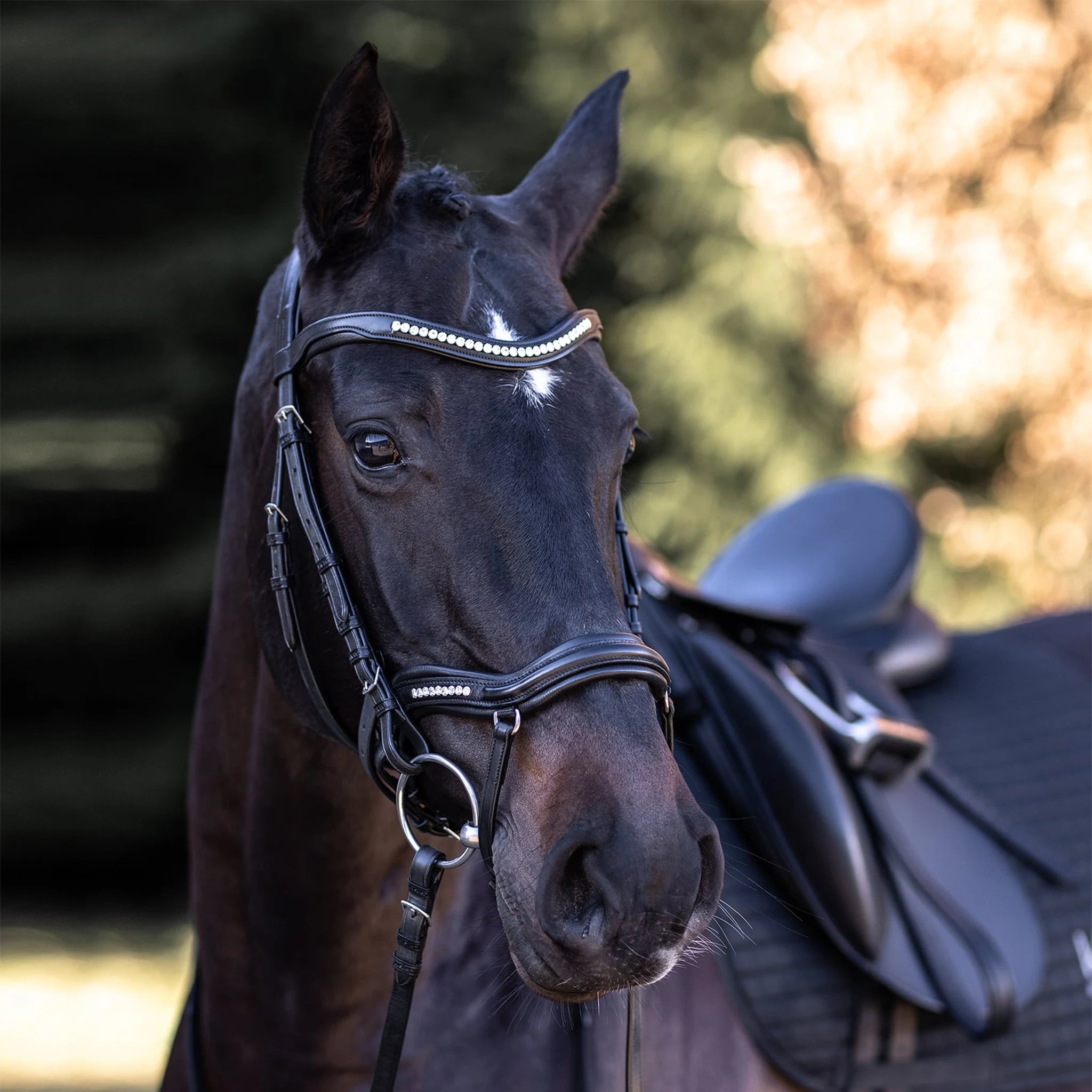 Kieffer Ultrasoft Luna Snaffle Bridle product photo