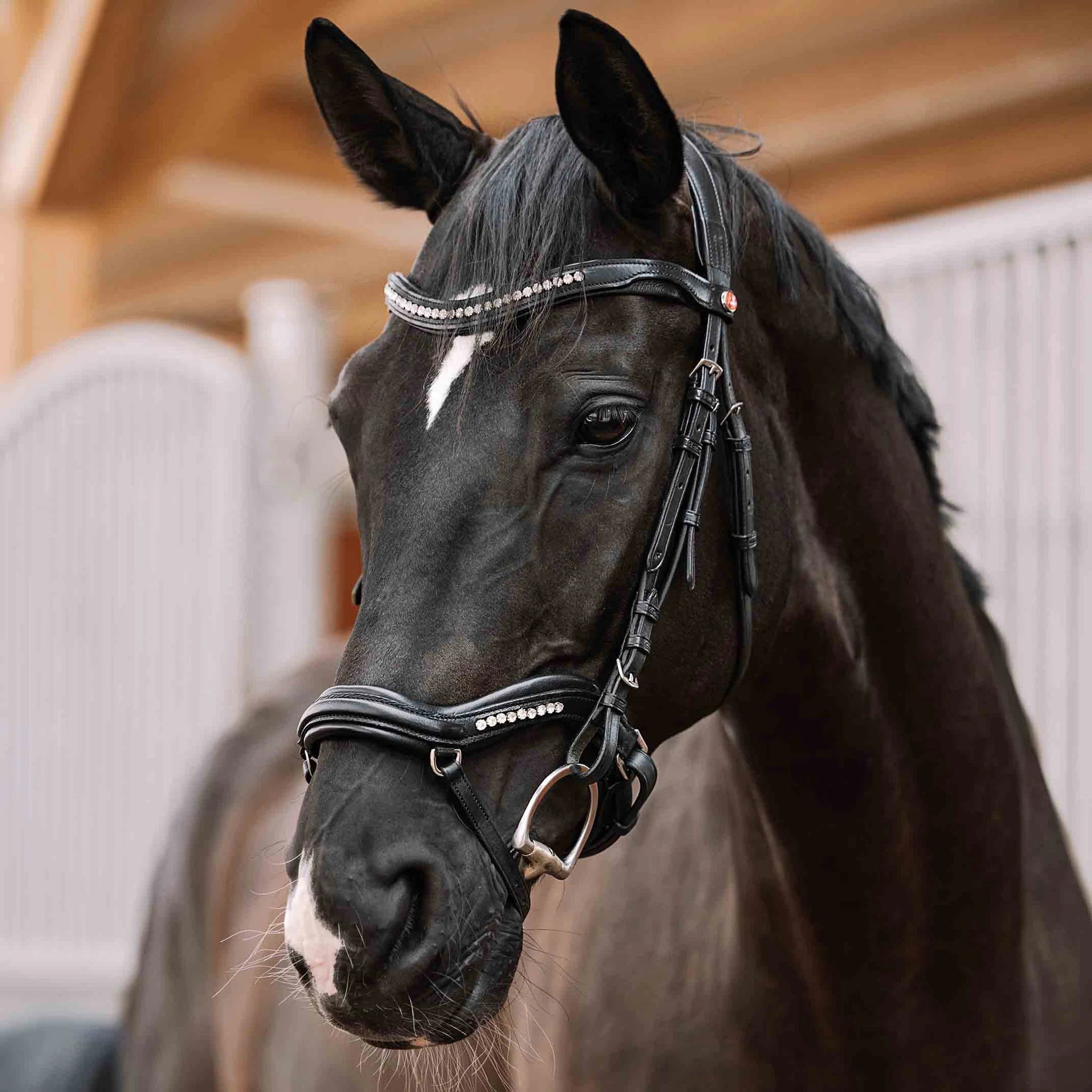 Kieffer Ultrasoft Luna Snaffle Bridle product photo
