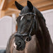 Kieffer Ultrasoft Luna Snaffle Bridle product photo