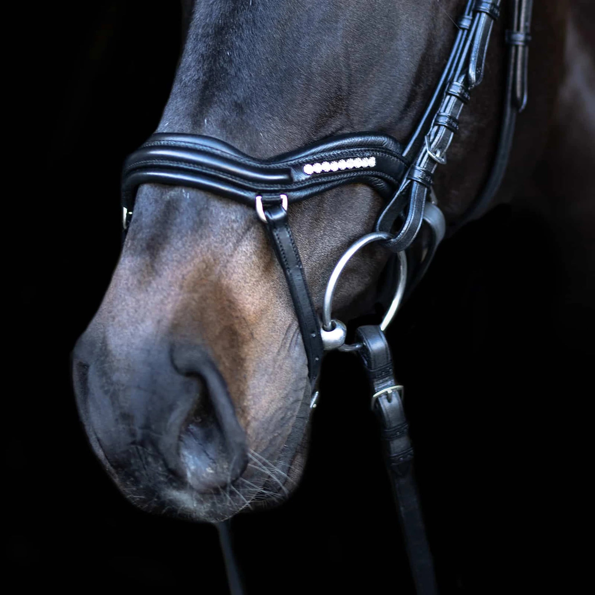 Kieffer Ultrasoft Luna Snaffle Bridle product photo