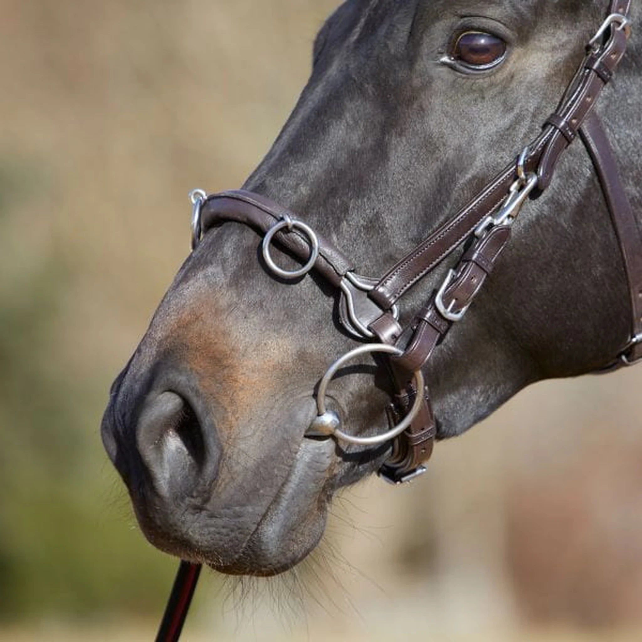 Kieffer Ultrasoft Lunge and Riding Cavesson product photo