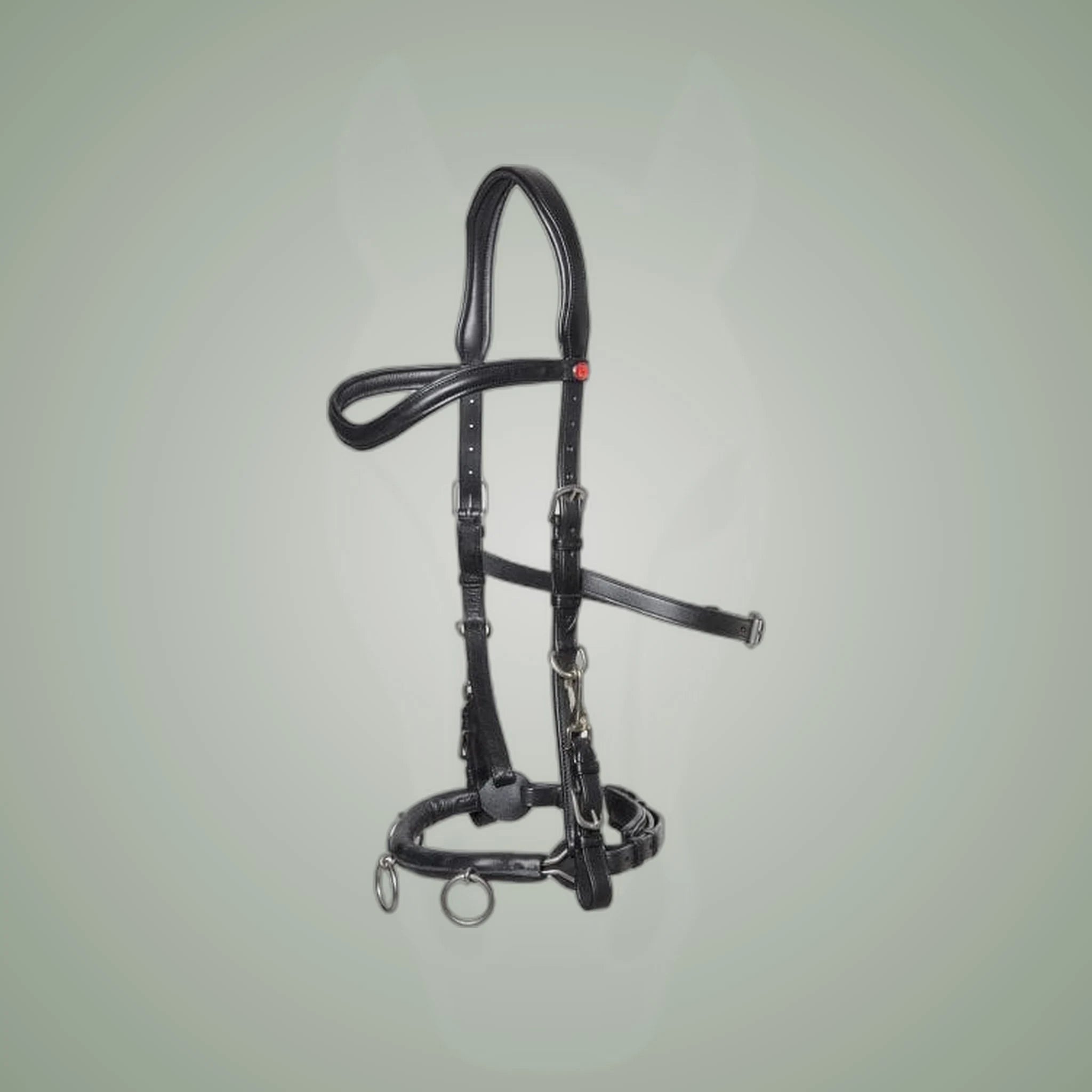 Kieffer Ultrasoft Lunge and Riding Cavesson on One-Eyed Equine branded background