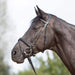 Kieffer Ultrasoft Snaffle Bridle product photo