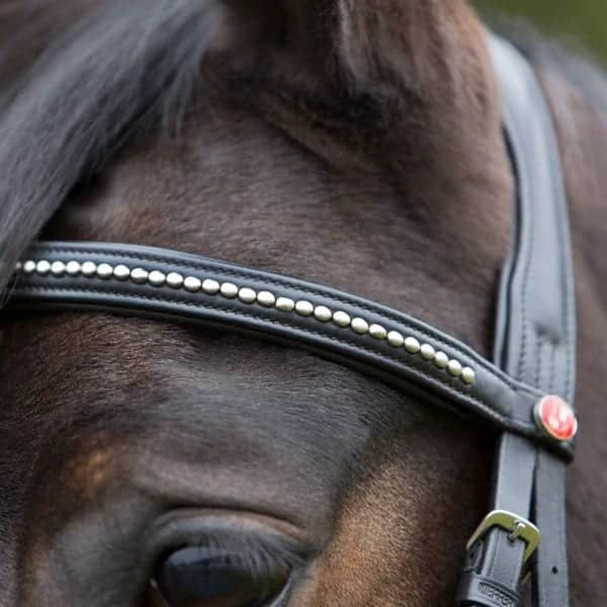 Kieffer Ultrasoft Snaffle Bridle product photo