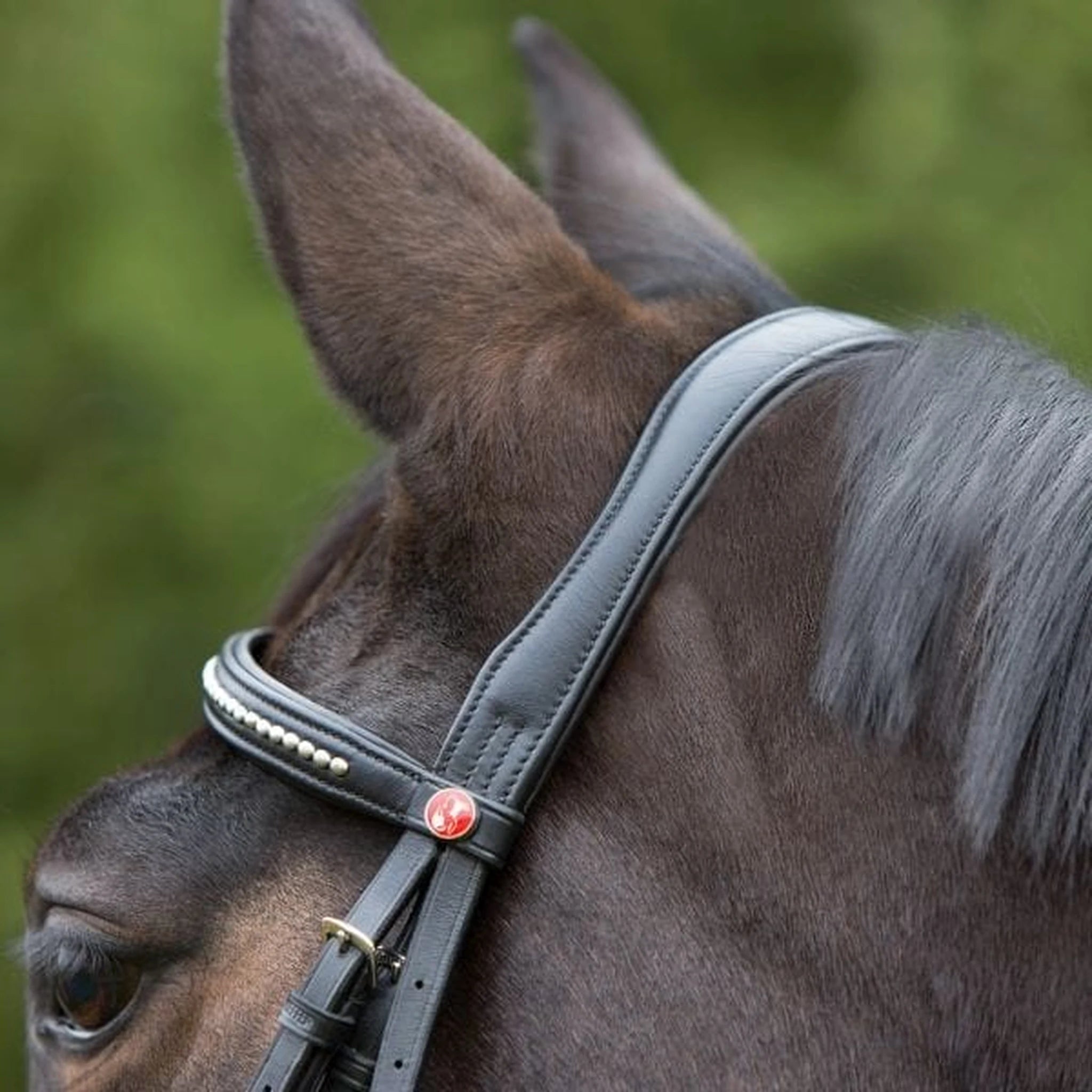 Kieffer Ultrasoft Snaffle Bridle product photo