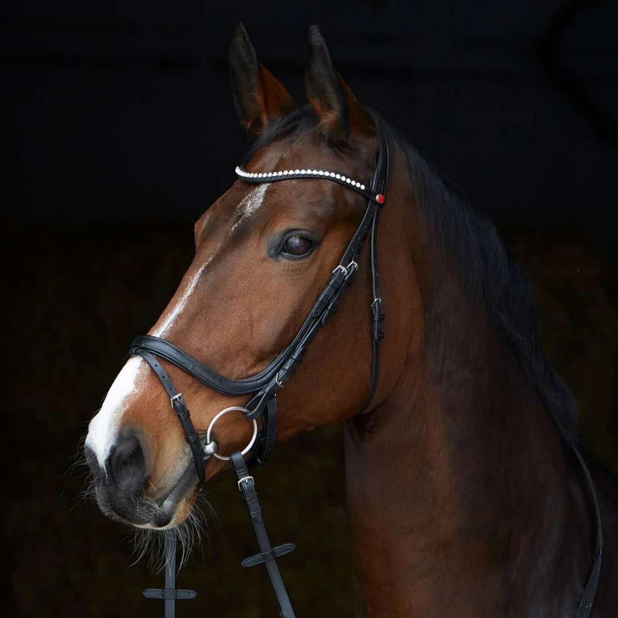 Kieffer Ultrasoft Stella Snaffle Bridle product photo