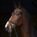 Kieffer Ultrasoft Stella Snaffle Bridle product photo