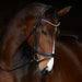 Kieffer Ultrasoft Stella Snaffle Bridle product photo
