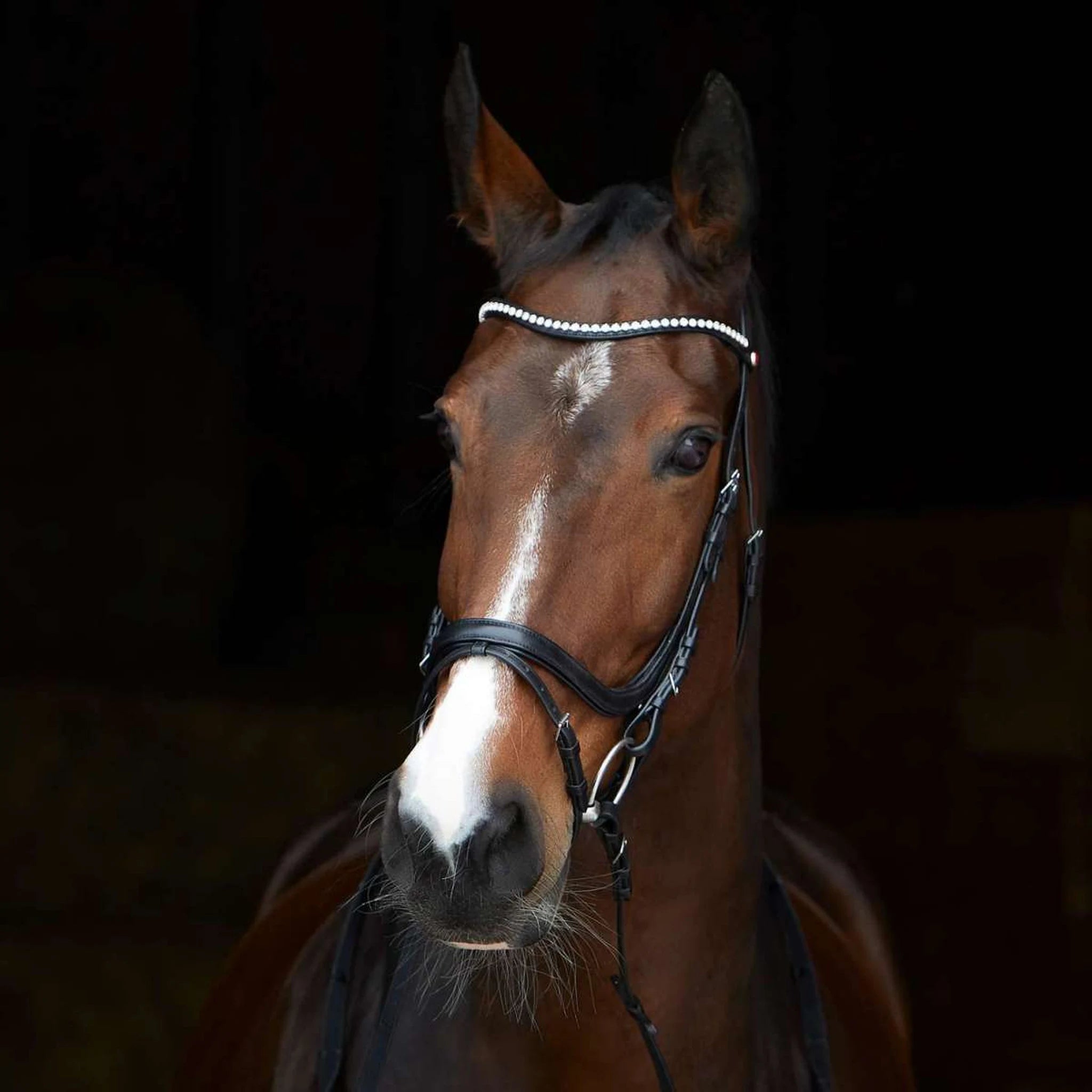 Kieffer Ultrasoft Stella Snaffle Bridle product photo