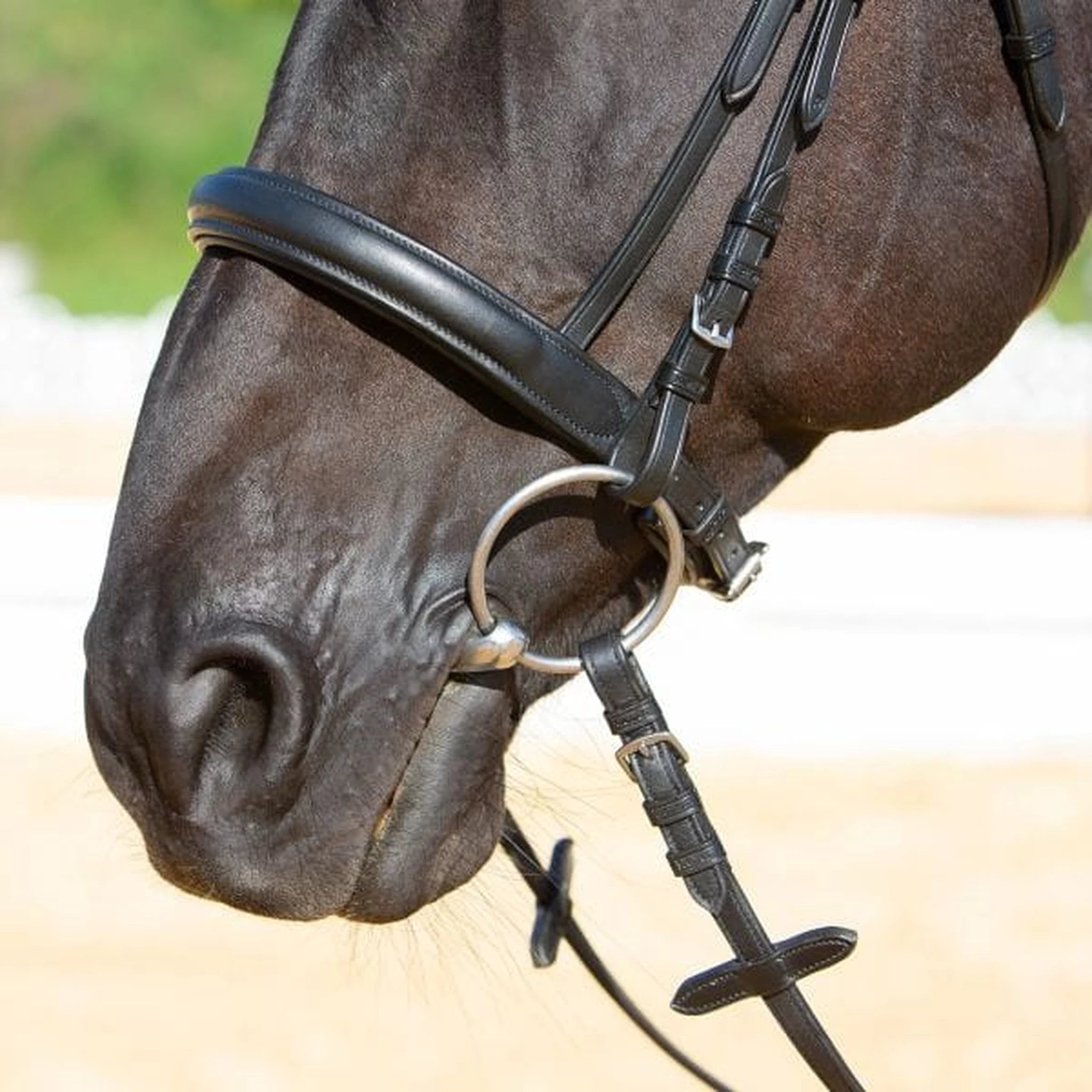 Kieffer Ultrasoft Sue Snaffle Bridle product photo