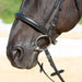 Kieffer Ultrasoft Sue Snaffle Bridle product photo