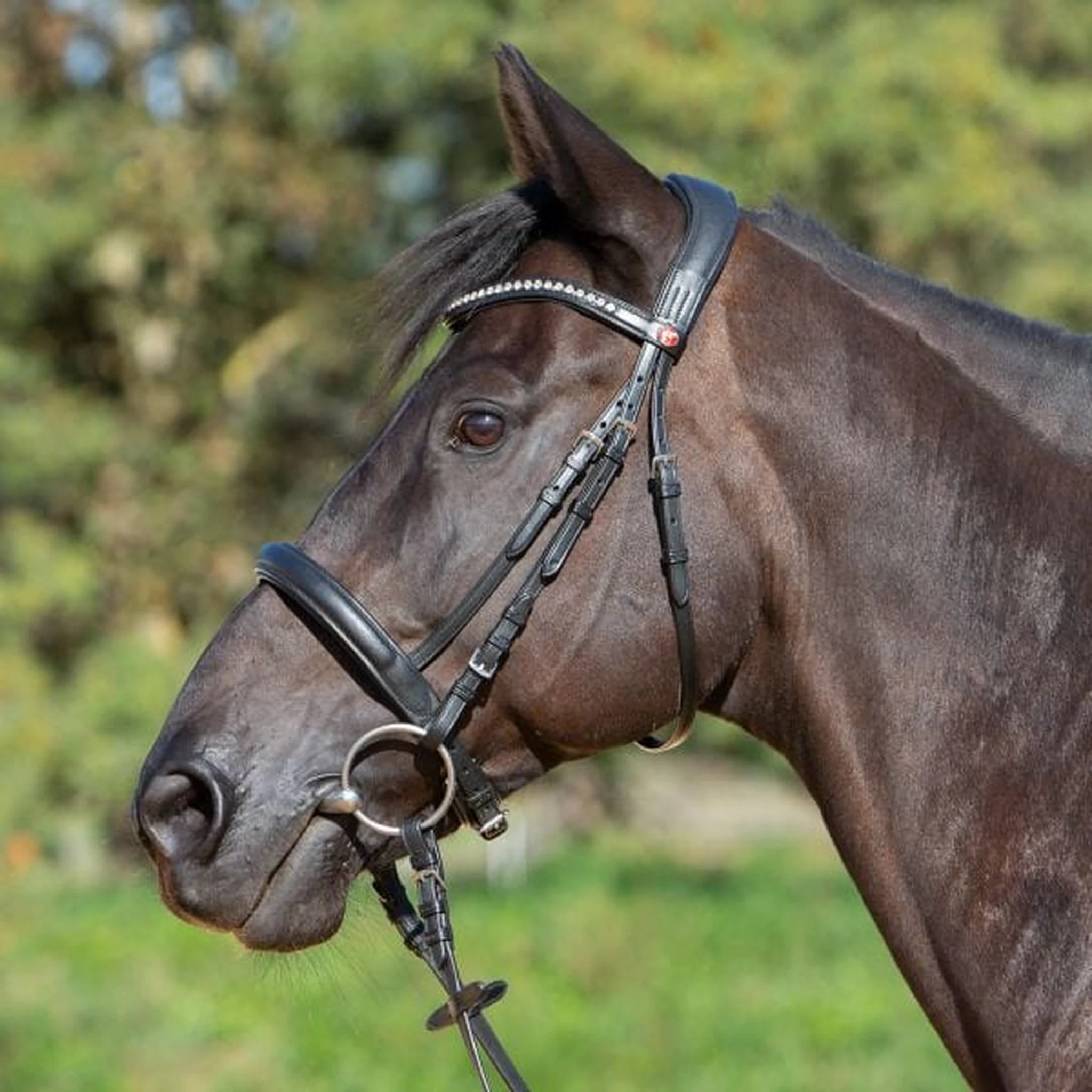 Kieffer Ultrasoft Sue Snaffle Bridle product photo