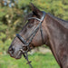 Kieffer Ultrasoft Sue Snaffle Bridle product photo