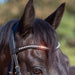 Kieffer Ultrasoft Sue Snaffle Bridle product photo