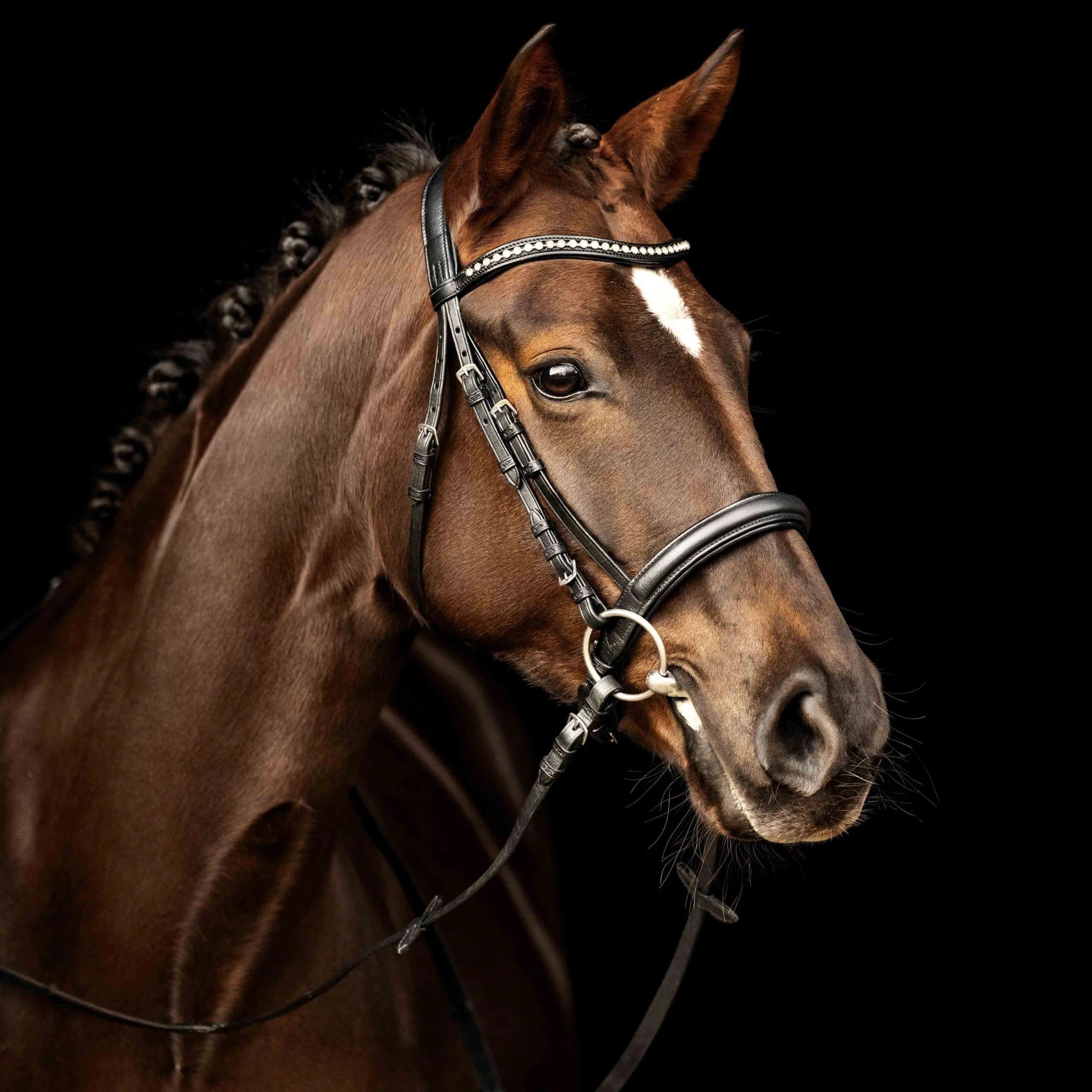 Kieffer Ultrasoft Sue Snaffle Bridle product photo