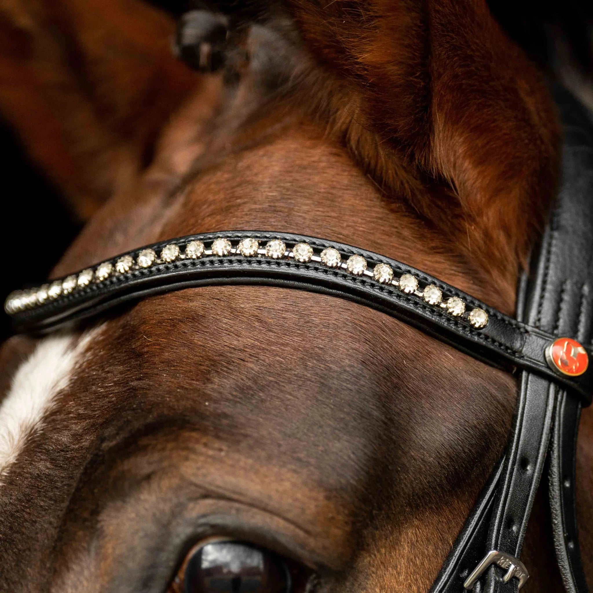 Kieffer Ultrasoft Sue Snaffle Bridle product photo