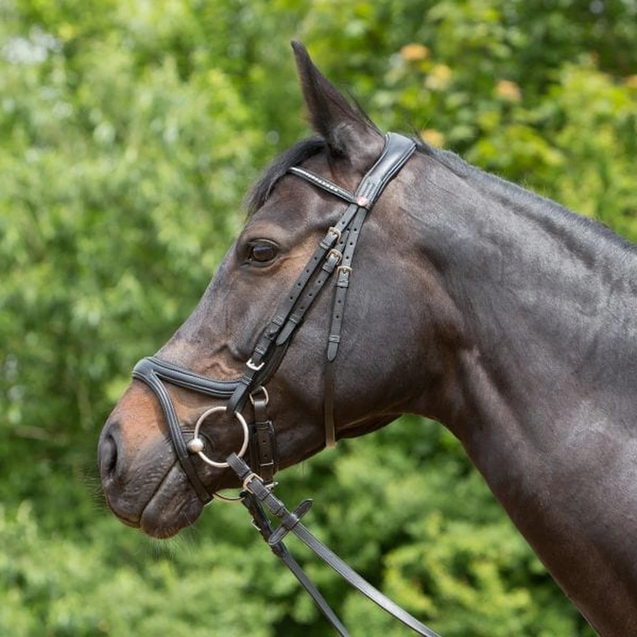 Kieffer Ultrasoft Tara Snaffle Bridle product photo