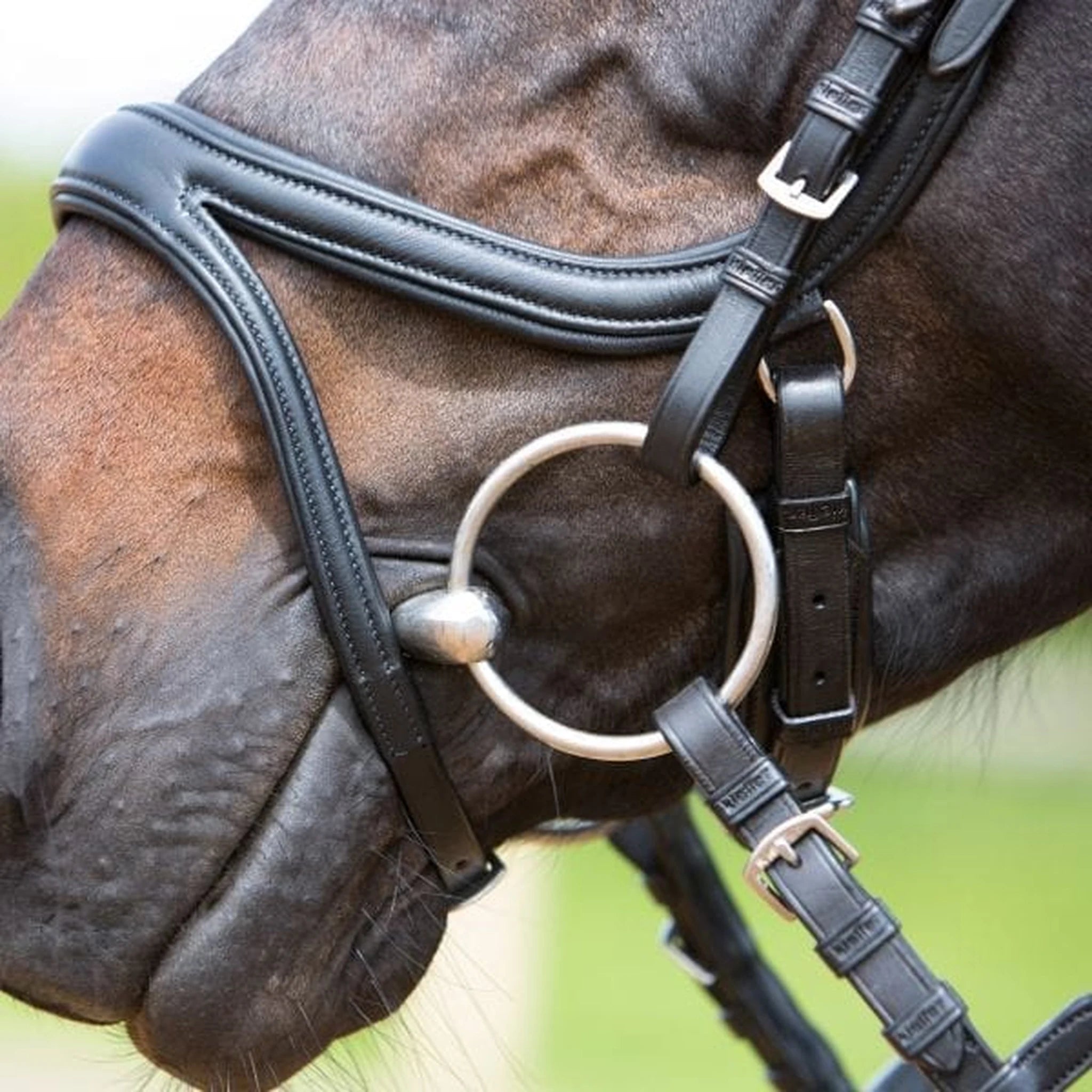 Kieffer Ultrasoft Tara Snaffle Bridle product photo