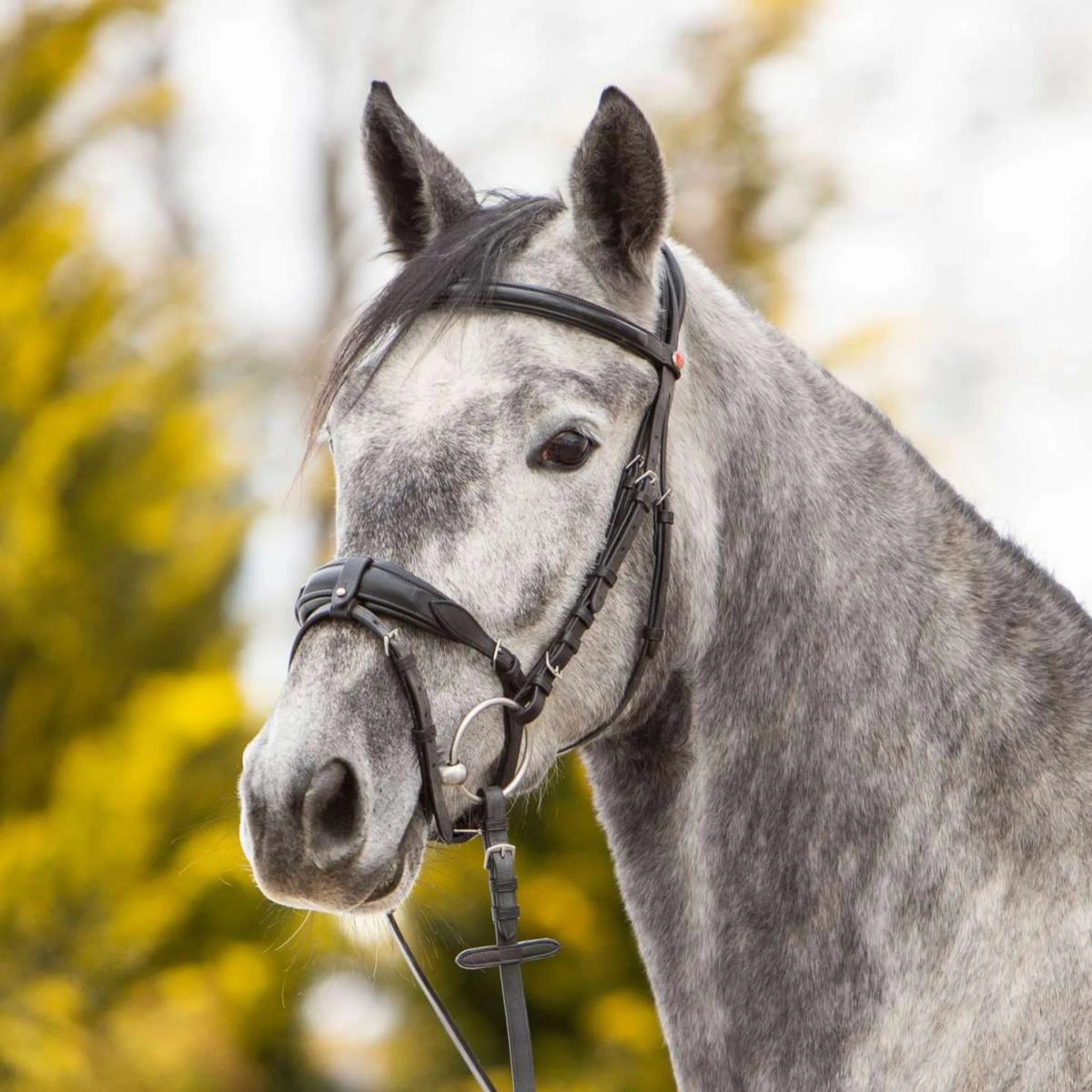 Kieffer Ultrasoft Unah Snaffle Bridle product photo