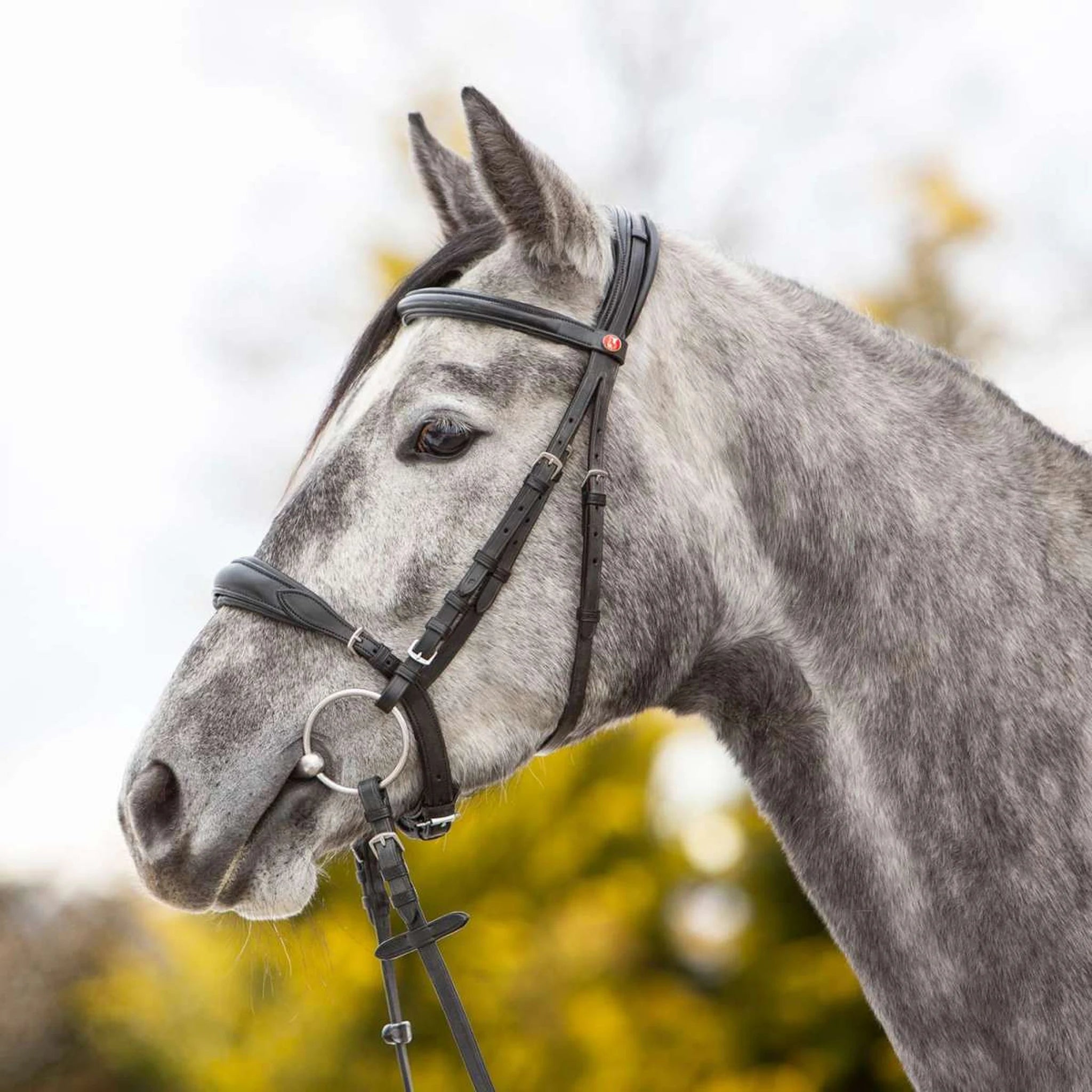 Kieffer Ultrasoft Unah Snaffle Bridle product photo