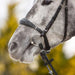 Kieffer Ultrasoft Unah Snaffle Bridle product photo