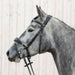 Kieffer Ultrasoft Unah Snaffle Bridle product photo