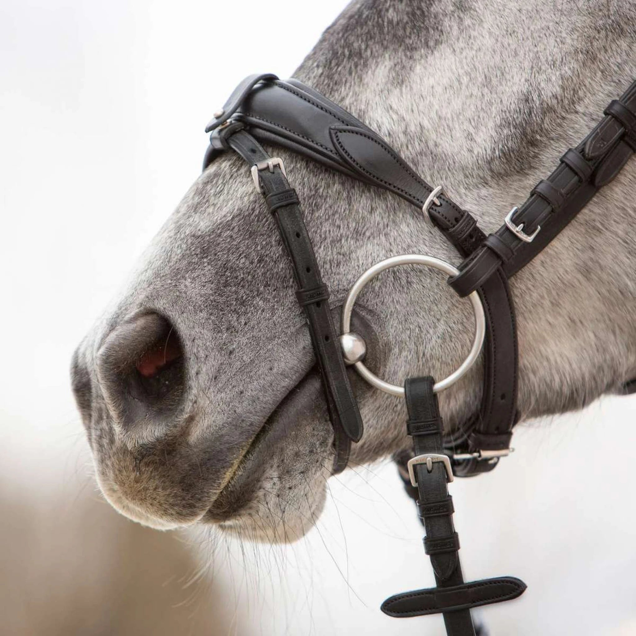 Kieffer Ultrasoft Unah Snaffle Bridle product photo