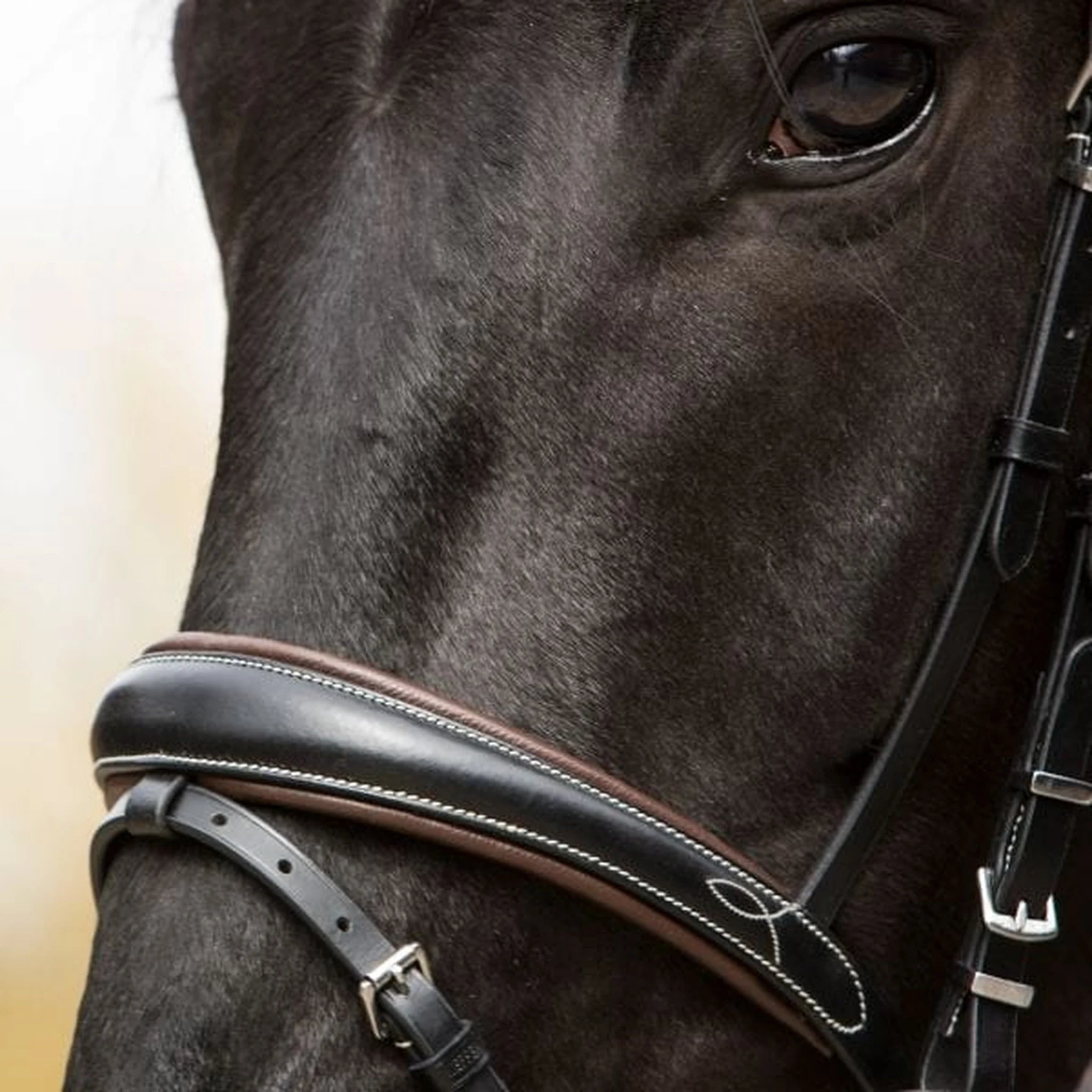 Kieffer Vera Snaffle Bridle product photo