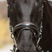 Kieffer Vera Snaffle Bridle product photo