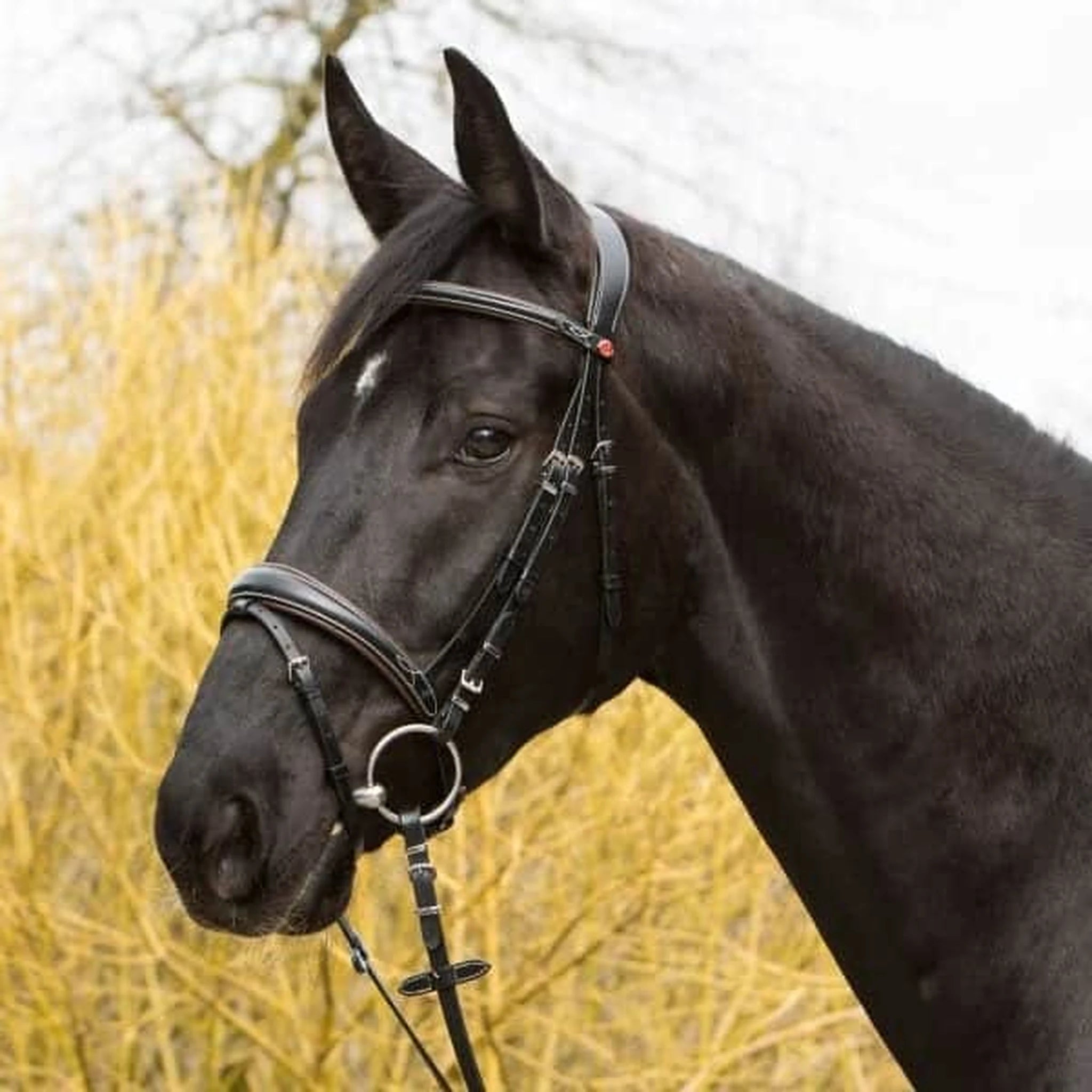 Kieffer Vera Snaffle Bridle product photo