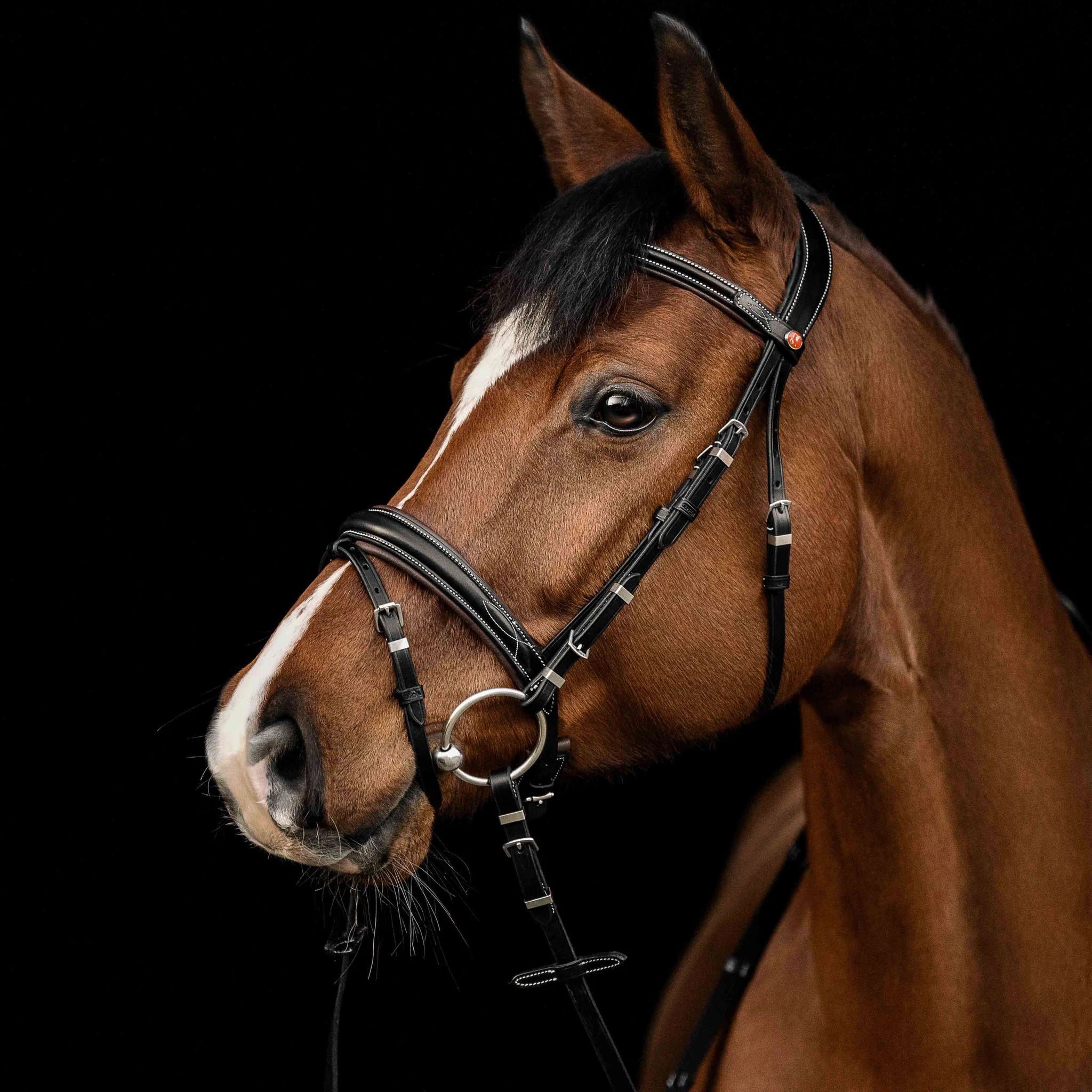 Kieffer Vera Snaffle Bridle product photo