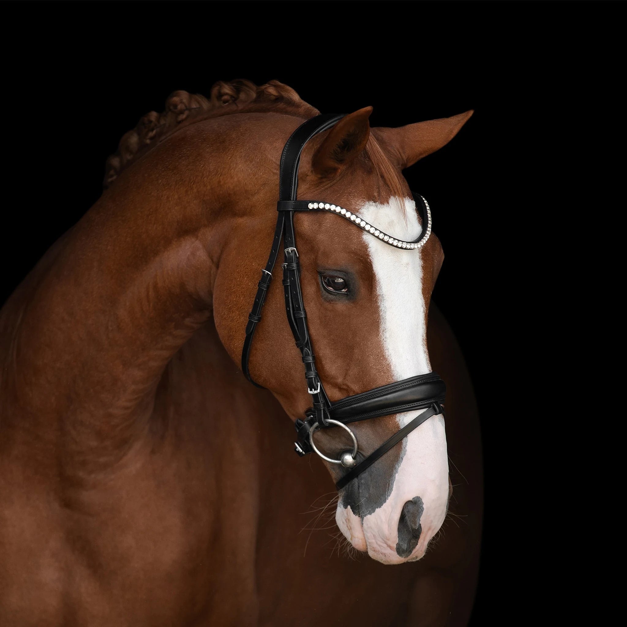 Kieffer Victoria II Snaffle Bridle product photo