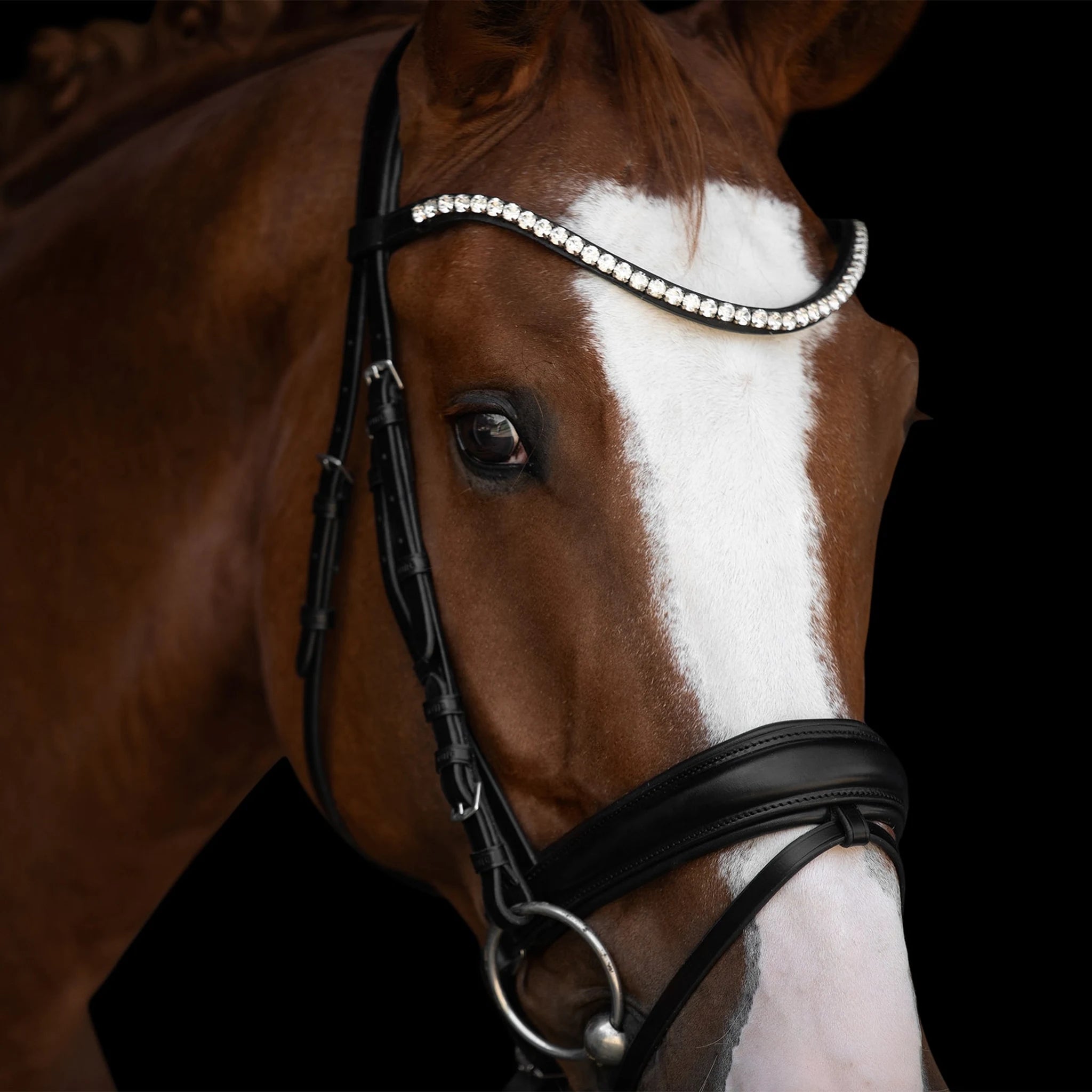 Kieffer Victoria II Snaffle Bridle product photo